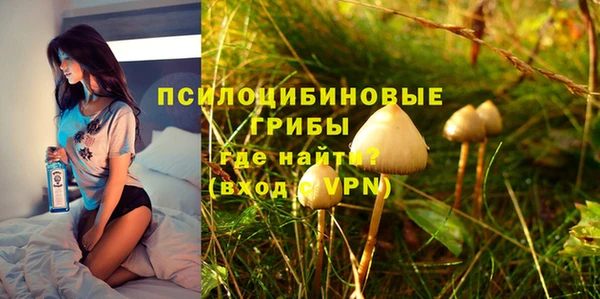 МДПВ Володарск