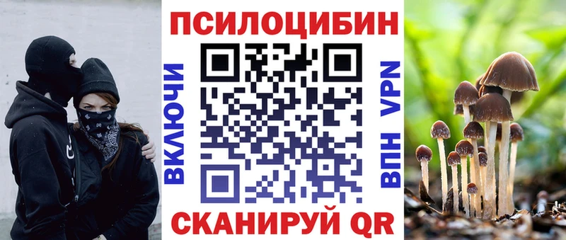 Псилоцибиновые грибы Psilocybe  наркота  Гагарин 