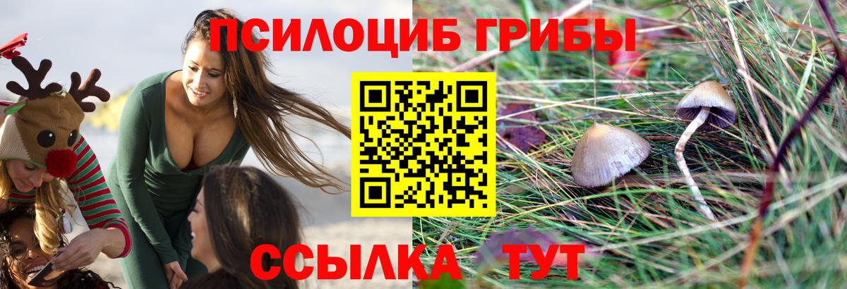 Псилоцибиновые грибы Magic Shrooms  Вход с VPN  Гагарин 